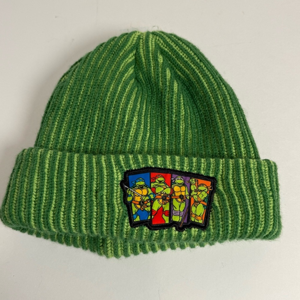 Nickelodeon Winter Hat Green Teenage Mutant Ninja Turtles Beanie Cartoon